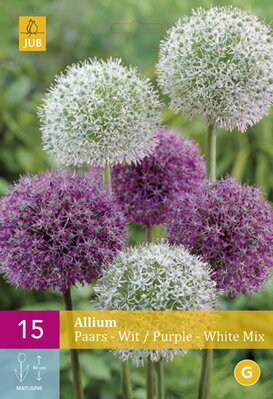 Okrasný cesnak - Allium  Purple-White Mix