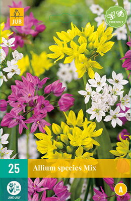 Okrasný cesnak - Allium  Species Mix
