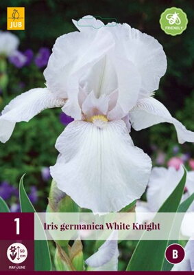 Iris germanica Iris  White Knight  novinka 2022
