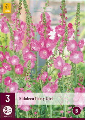 Sidalcea Party Girl  opäť dostupné na jar 2022