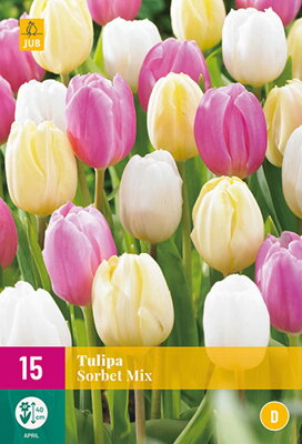 Jednoduchý neskorý tulipán - Sorbet Mix