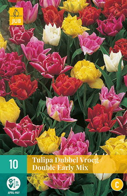 Plný tulipán - Double Early Mix