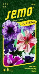 Petunia veľkokvetá Superbissima zmes