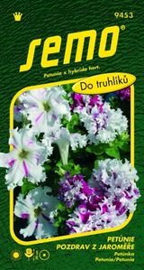Petunia veľkokvetá Pozdrav z Jaroměře