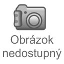 Okrasný cesnak - Allium  nigrum