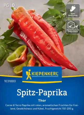 Paprika ročná    Thor, F1   