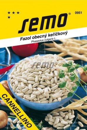 Fazuľa kríčková Cannellino / Petronila                                         
