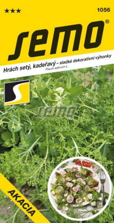Hrach siaty  Akacia