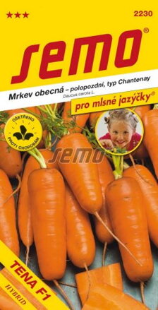 Mrkva obyčajná Tena F1 