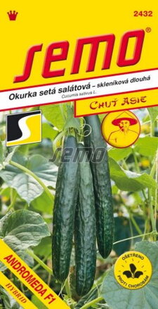  Uhorka šalátová Andromeda F 1