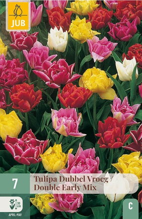 Plný tulipán - Double Early Mix