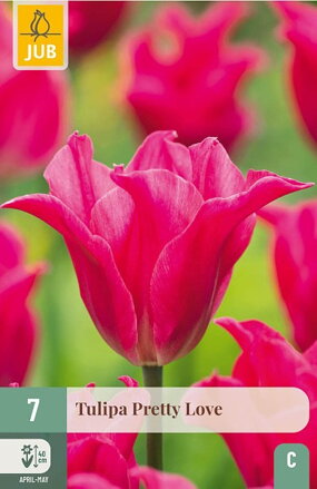 Ľaliokveté tulipány - Pretty Love
