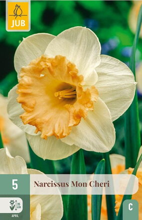 Veľkokvetý narcis - Mon Cheri  