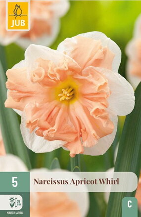Narcis s pakorunkou - Apricot Whirl