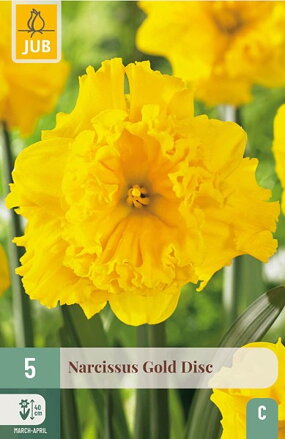 Narcis s pakorunkou - Gold Disc                        