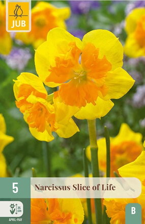 Narcis s pakorunkou - Slice of Life