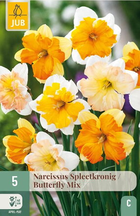 Narcis s pakorunkou - Narcis Butterfly mix