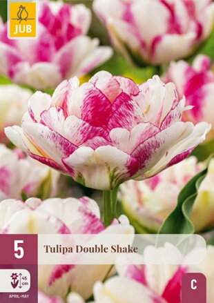 Plný  tulipán -  Double Shake