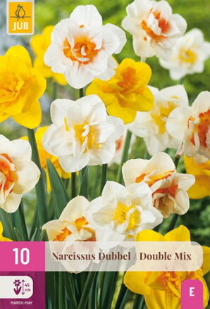 Plnokvetý narcis - Mix