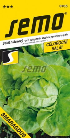 Šalát hlávkový  Smaragdus 