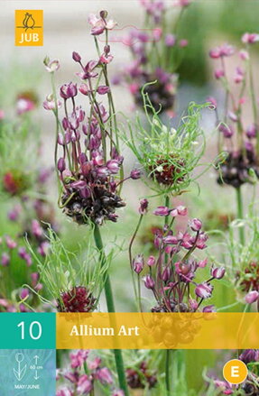 Okrasný cesnak - Allium Art