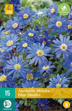 Veternica - Anemone blanda Blue Shades