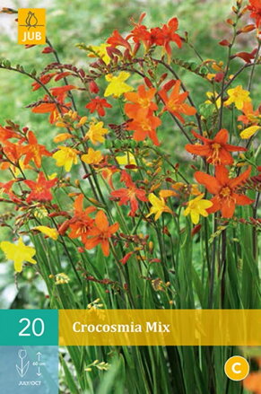 Crocosmia Montbrécia mix  