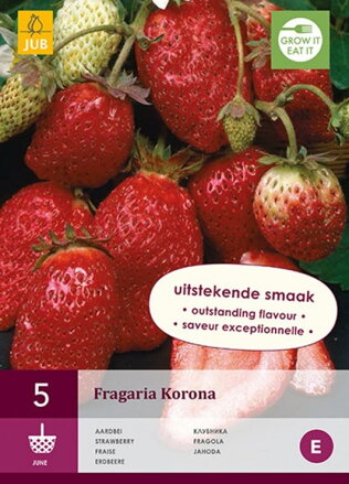 Fragaria Jahody Korona    zelené sadenice s koreňovým balom