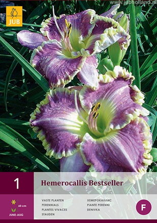 Hemerocallis Ľaliovka  Bestseller  