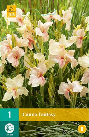 Canna Kana Fantasy  