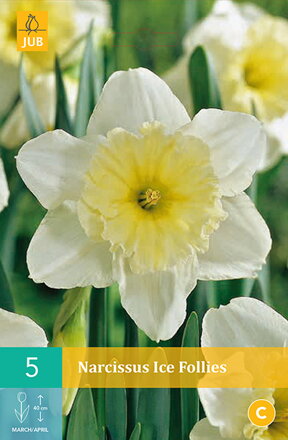 Veľkokvetý narcis - Ice Follies
