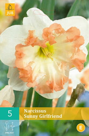Narcis s pakorunkou - Sunny Girlfriend