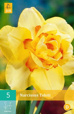 Plnokvetý narcis - Tahiti