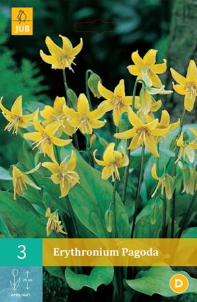 Kandík - Erythronium Pagoda