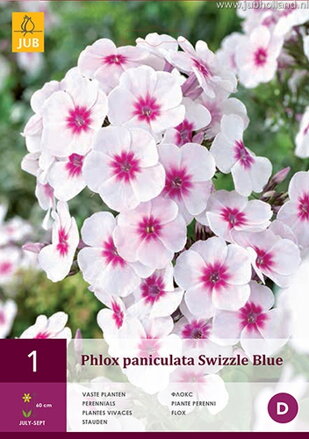 Phlox paniculata Flox Swizzle Blue  