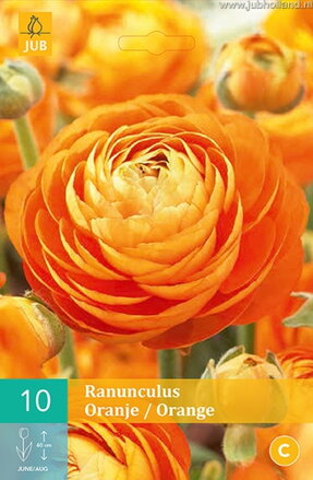 Ranunculus Iskerník oranžový                         