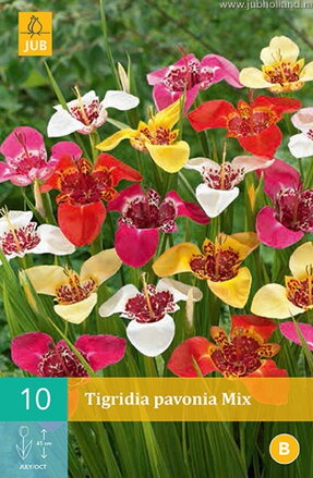 Tigridia zmes farieb dostupné od 1.3.2026