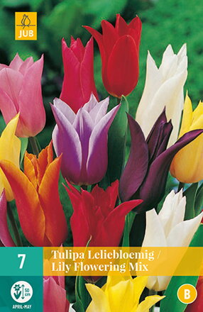 Ľaliokveté tulipány - Mix 