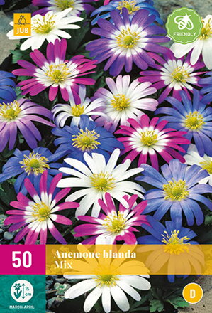Veternica - Anemone blanda Mix