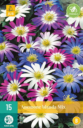 Veternica - Anemone blanda Mix
