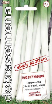 Cibuľa zimná - sečka Long White Koshigaya              