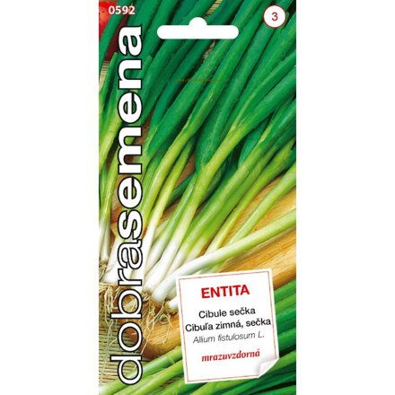Cibuľa zimná - sečka Entita