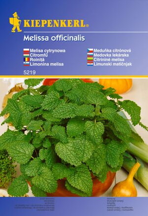 Medovka lekárska                                                                