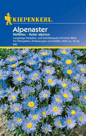Astra alpínska  Hellblau