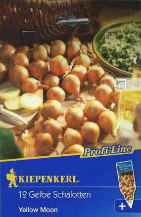 Cibuľa Šalotka Yellow Moon Kiepenkerl / Sperli   