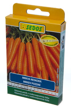 Mrkva obyčajná Tinga                                               