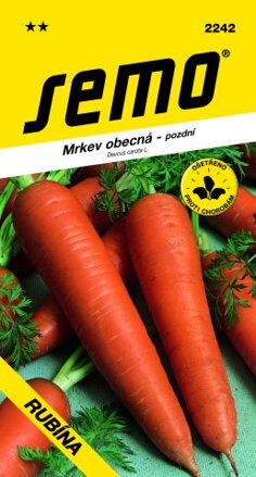 Mrkva obyčajná Rubína 