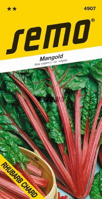 Mangold Rhubarb Chard                                              