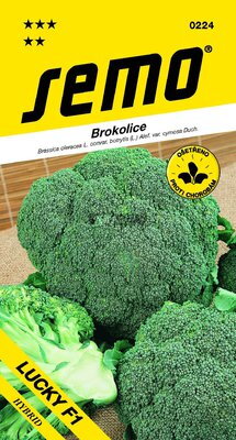 Brokolica Lucky F1                                                       