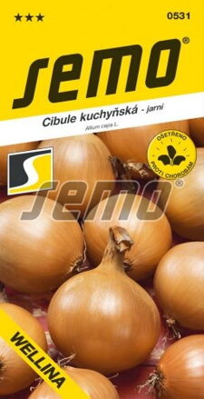 Cibuľa kuchynská Wellina